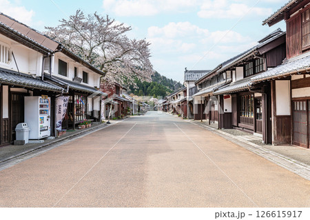 福井県若狭町 若狭熊川宿 満開の桜が咲く伝統的建造物保存地区の町並み 福井県若狭町 若狭熊川宿 満開の桜が咲く伝統的建造物保存地区の町並み 126615917