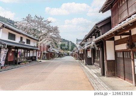 福井県若狭町　若狭熊川宿　満開の桜が咲く伝統的建造物保存地区の町並み 126615918