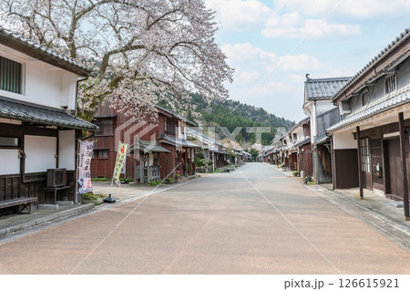 福井県若狭町 若狭熊川宿 満開の桜が咲く伝統的建造物保存地区の町並み 福井県若狭町 若狭熊川宿 満開の桜が咲く伝統的建造物保存地区の町並み 126615921