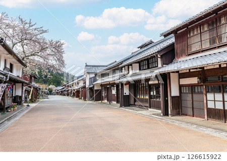 福井県若狭町　若狭熊川宿　満開の桜が咲く伝統的建造物保存地区の町並み 126615922