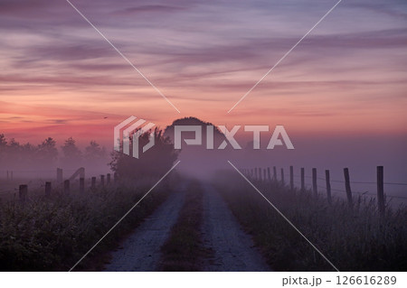 A Serene and Misty Pathway Revealing Its Incredible Beauty at Sunrise in the Peaceful Countryside 126616289
