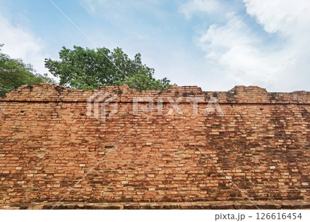 Texture of the brick walls      126616454