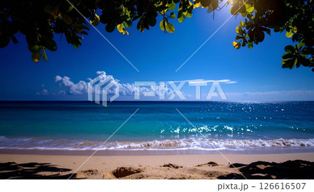 日陰から見える白い砂浜と青い海と空 126616507