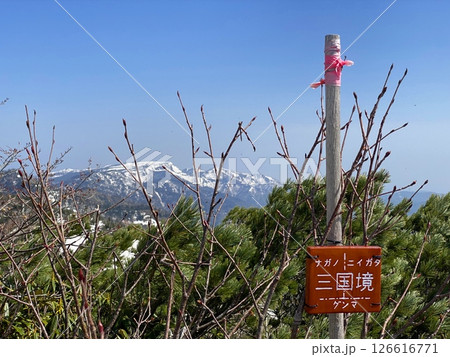 三国境から見る残雪の苗場山(20250521083951i) 三国境から見る残雪の苗場山(20250521083951i) 126616771