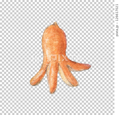 章魚香腸手繪插畫水彩 126617021