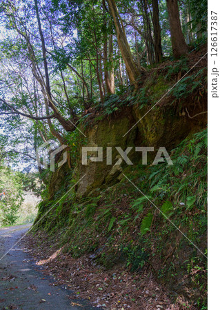 巨岩が剥き出しの狭い山道 126617387