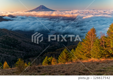 大菩薩嶺から見る朝焼けの富士山 大菩薩嶺から見る朝焼けの富士山 126617542