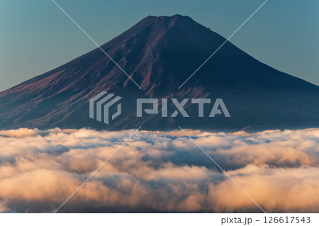 大菩薩嶺から見る雲上の富士山 大菩薩嶺から見る雲上の富士山 126617543