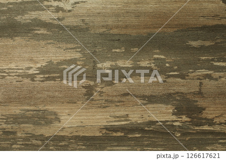 Decorative shabby color khaki plywood background, copy space. 126617621