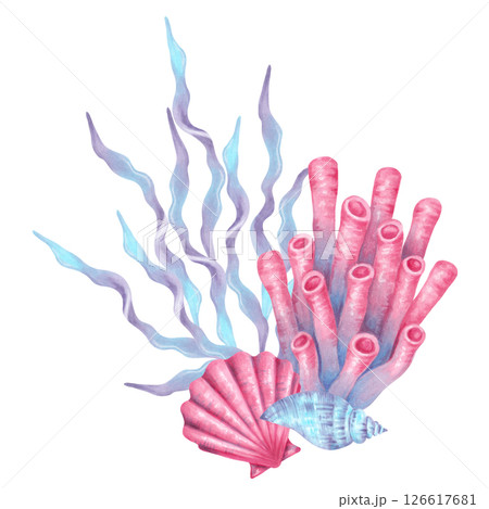 Tube coral, seaweed, scallop and spiral sea shell. Coral reef composition. Watercolor and marker illustrations. Hand drawn isolated art. Underwater seabed animal for children's design, guidebook Tube coral, seaweed, scallop and spiral sea shell. Coral reef composition. Watercolor and marker illustrations. Hand drawn isolated art. Underwater seabed animal for children's design, guidebook 126617681
