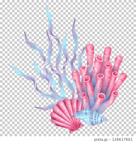 Tube coral, seaweed, scallop and spiral sea shell. Coral reef composition. Watercolor and marker illustrations. Hand drawn isolated art. Underwater seabed animal for children's design, guidebook Tube coral, seaweed, scallop and spiral sea shell. Coral reef composition. Watercolor and marker illustrations. Hand drawn isolated art. Underwater seabed animal for children's design, guidebook 126617681