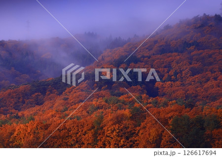 岩手県奥州市　紅葉の焼石岳 126617694