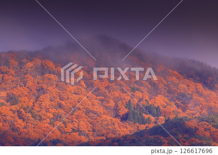 岩手県奥州市　紅葉の焼石岳 126617696
