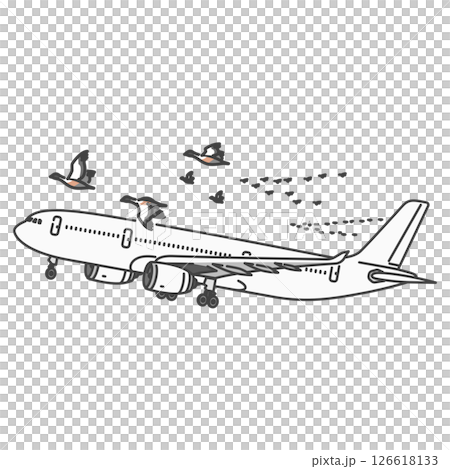 Stock Illustration: Aviation safety, international passenger planes and flocks of migratory birds (risk of bird strikes) 126618133