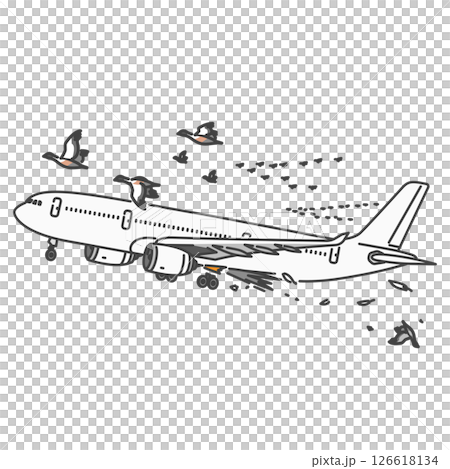Stock Illustration: Aviation accident / bird strike! Collision between an international passenger plane and a migratory bird Stock Illustration: Aviation accident / bird strike! Collision between an international passenger plane and a migratory bird 126618134