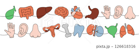 Set of organs one line colored continuous drawing. Heart, kidneys, tooth, brain, lungs, stomach, liver, reproductive system, nose, bone, ear, bladder 126618316