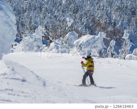スマートフォンで撮影をしながら樹氷原を滑走するスキーヤー (山形県、蔵王温泉スキー場、樹氷原) スマートフォンで撮影をしながら樹氷原を滑走するスキーヤー (山形県、蔵王温泉スキー場、樹氷原) 126618463