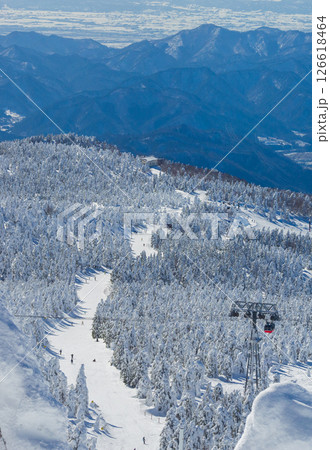 樹氷原の滑走コースとその上空を通るロープウェイ (山形県、蔵王温泉スキー場、樹氷原コース) 126618464