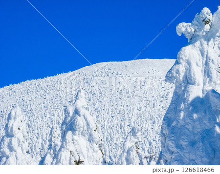 樹氷に覆われた雪山 (山形県、蔵王温泉スキー場) 126618466
