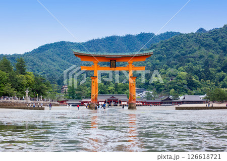広島県宮島 大潮の厳島神社大鳥居 広島県宮島 大潮の厳島神社大鳥居 126618721