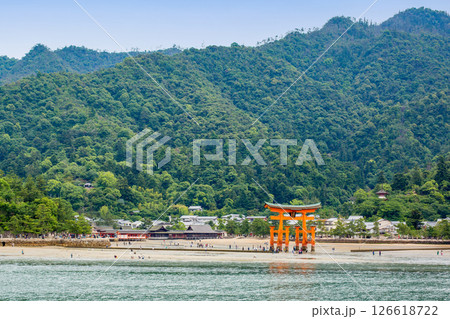 広島県宮島 大潮の厳島神社大鳥居 広島県宮島 大潮の厳島神社大鳥居 126618722