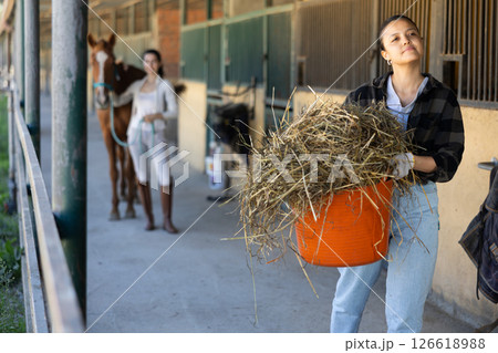 Asian young female worker walks go through corridor of stable, carrying basket with hay Asian young female worker walks go through corridor of stable, carrying basket with hay 126618988