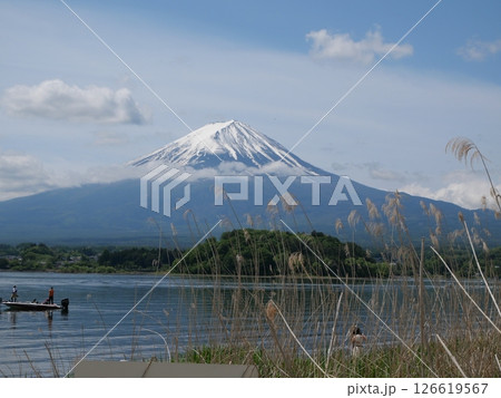 大石公園 富士山 大石公園 富士山 126619567