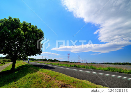 千葉県 手賀沼沿いに架かる架空送電線と鉄塔 千葉県 手賀沼沿いに架かる架空送電線と鉄塔 126620158