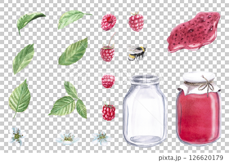Set of leaves, berries, flowers of raspberry. Isolated watercolor illustration in realistic style for design of packages with berry juice, printing on fabric and clothes Set of leaves, berries, flowers of raspberry. Isolated watercolor illustration in realistic style for design of packages with berry juice, printing on fabric and clothes 126620179