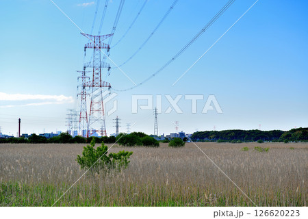 千葉県 手賀沼沿いに架かる架空送電線と鉄塔 千葉県 手賀沼沿いに架かる架空送電線と鉄塔 126620223