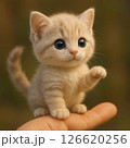 手の上で片手をあげる子猫 126620256