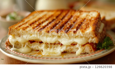 A delicious grilled cheese sandwich with melted cheese oozing between toasted bread. Served on a plate with a side of dipping sauce. 126620398