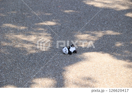 道に落ちているパンダのぬいぐるみ 道に落ちているパンダのぬいぐるみ 126620417