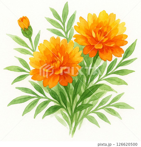 明るいお花 126620500
