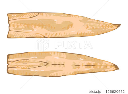 うなぎの白焼きイラスト うなぎの白焼きイラスト 126620632
