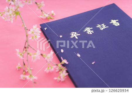 卒業証書と桜 126620934