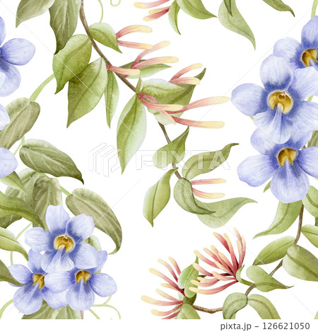 Honeysuckle and bindweed flowers watercolor seamless pattern on white. Thunbergia pastel purple blossom plant hand drawn repeat background. Botanical floral art of garden vines and lianas for hedge 126621050