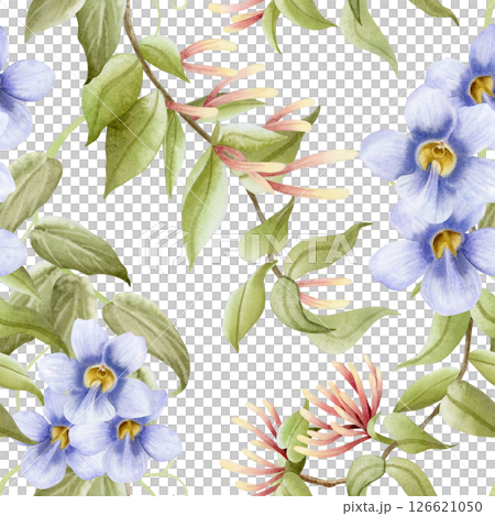 Honeysuckle and bindweed flowers watercolor seamless pattern on white. Thunbergia pastel purple blossom plant hand drawn repeat background. Botanical floral art of garden vines and lianas for hedge 126621050