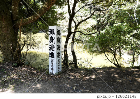 白兎神社の御身洗池（不増不滅の池 白兎が傷を癒したとされる池） 126621148