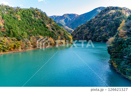 紅葉に染まる接岨湖 126621327