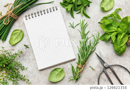 Fresh herbs and notepad lying on gray table for recipes or menu planning Fresh herbs and notepad lying on gray table for recipes or menu planning 126621358