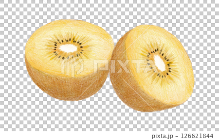 Colored pencil drawing of half-cut Sungold kiwifruit 126621844