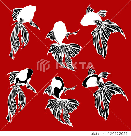 可愛い金魚の素材集, 126622031