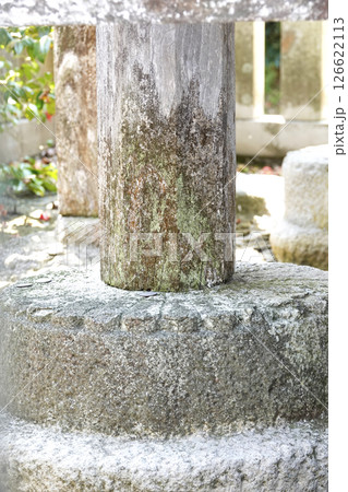 鳥取県 白兎神社の本殿を支える土台石に菊の彫刻が施されている菊座石 126622113