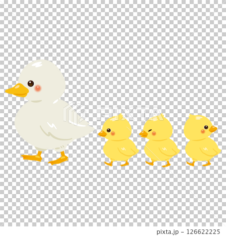 側鴨親子插畫 126622225
