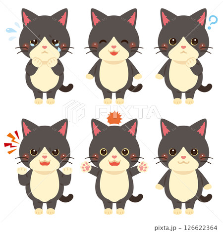 猫のキャラクターイラスト　表情セット 126622364