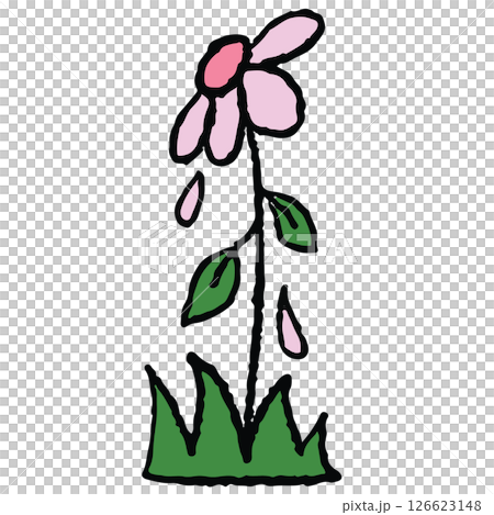 Hand drawn crayon illustration of withered flower, green leaves for decoration, spring, summer, nature, garden, plants, tree, blossom, blooming, sticker, picnic, park, house yard, environment, soil Hand drawn crayon illustration of withered flower, green leaves for decoration, spring, summer, nature, garden, plants, tree, blossom, blooming, sticker, picnic, park, house yard, environment, soil 126623148