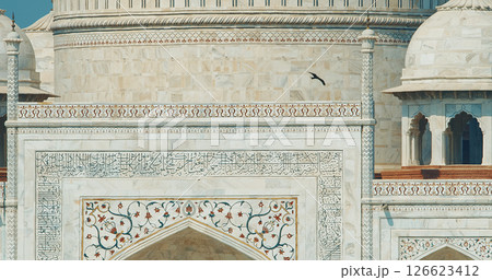 Agra, Uttar Pradesh, India. Black Kites Flying In Motion Above Taj Mahal Tower And Walls. Air Melts And Shivers Due To High Temperature. Seven World Wonders. Fabulous Taj Mahal Travel Concept. Indian Agra, Uttar Pradesh, India. Black Kites Flying In Motion Above Taj Mahal Tower And Walls. Air Melts And Shivers Due To High Temperature. Seven World Wonders. Fabulous Taj Mahal Travel Concept. Indian 126623412