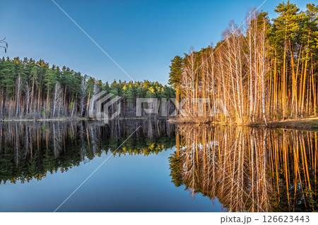 Calm lake with green trees on the shore and a beautiful reflection. Summer landscape. 126623443