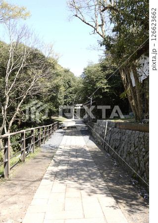 鳥取県 白兎神社の参道 奥に鳥居が見える 126623662